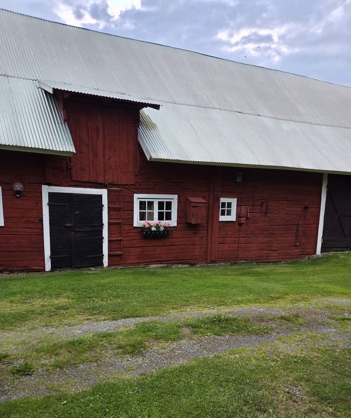 Den röda ladan med vita knutar och blomlådor under fönstren
